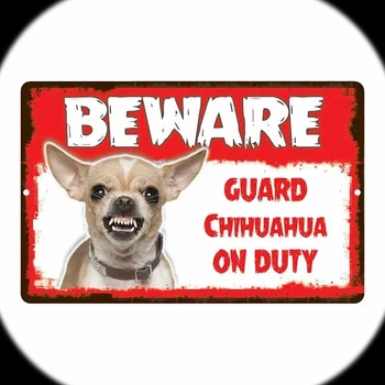 13cm*8.5 cm Auto Uzlīme Uzmanieties Aizsargs Chihuahua Suns uz Nodokļa Smieklīgi Decal Automobiļu Piederumi